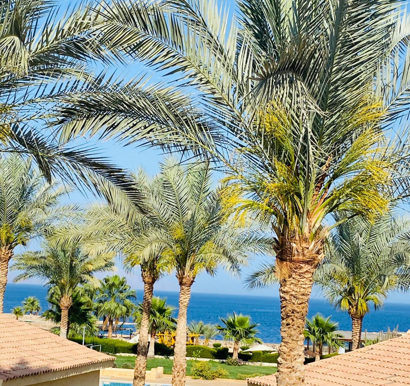 Tamra Residence Apartment Families and Couples Only